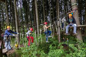 Kletterwald 3